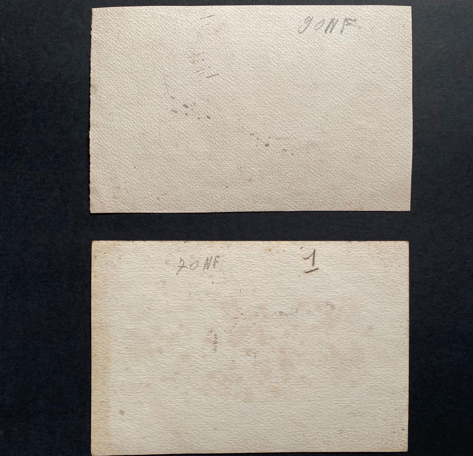 Early 1900's French Impressionist Signed Flower Watercolours y Marie Carreau, circa 1900s - 5