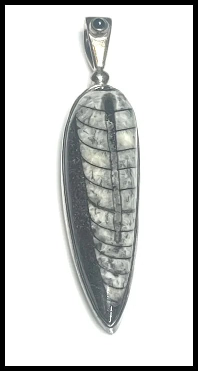 Estate Sterling Silver Sajen Orthoceras Pendant - 2