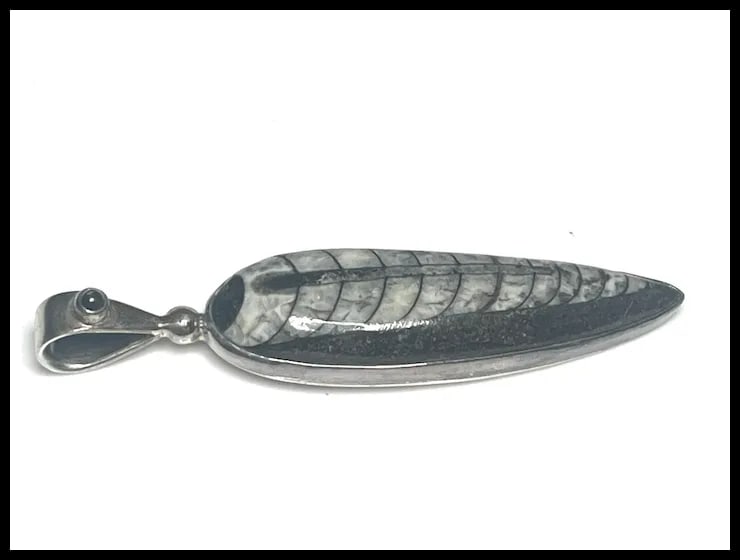 Estate Sterling Silver Sajen Orthoceras Pendant - 3