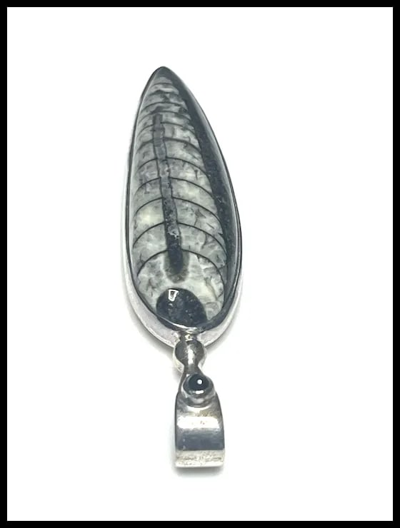 Estate Sterling Silver Sajen Orthoceras Pendant - 4