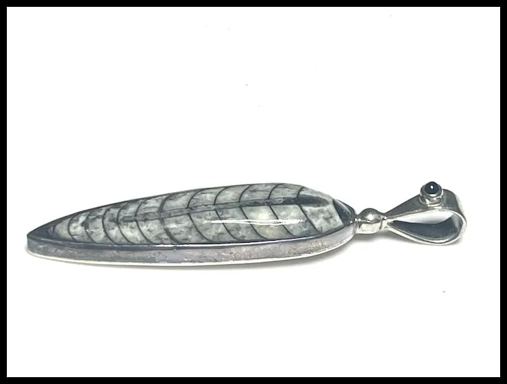 Estate Sterling Silver Sajen Orthoceras Pendant - 5