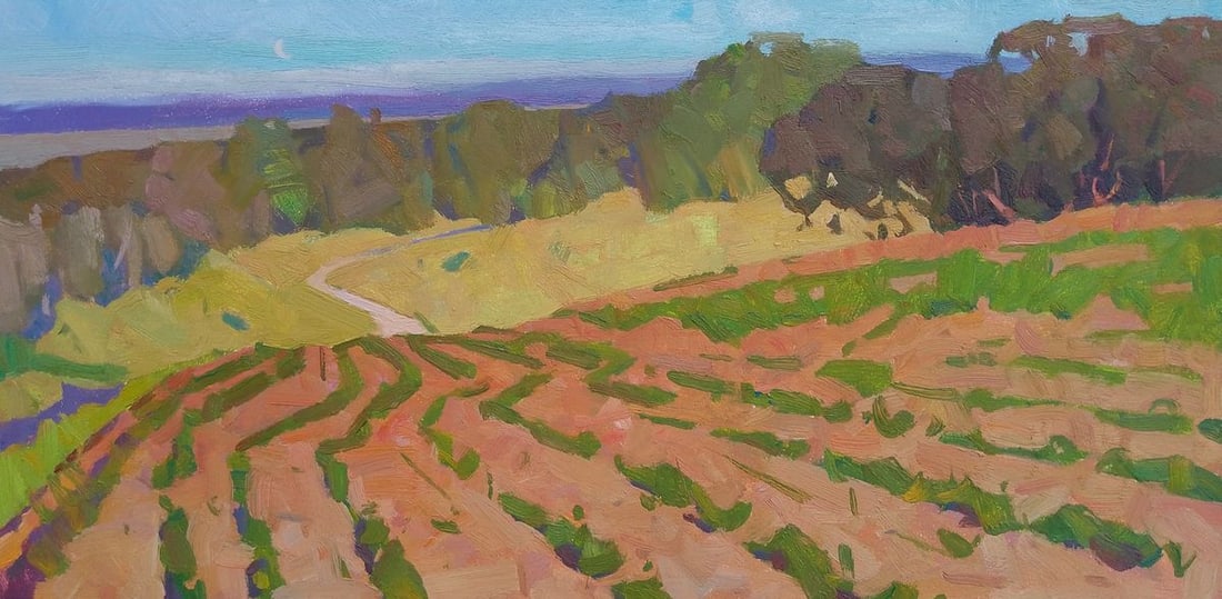 Oil painting A bright vegetable garden Igor Tuzhikov: Title: Oil painting A bright vegetable garden Igor Tuzhikov Description: 9TUZHIK Painter: Igor Tuzhikov Size: 20x40 cm/7.87x15.74 inches Components: oil, cardboardOriginal painting CONDITION: excellen