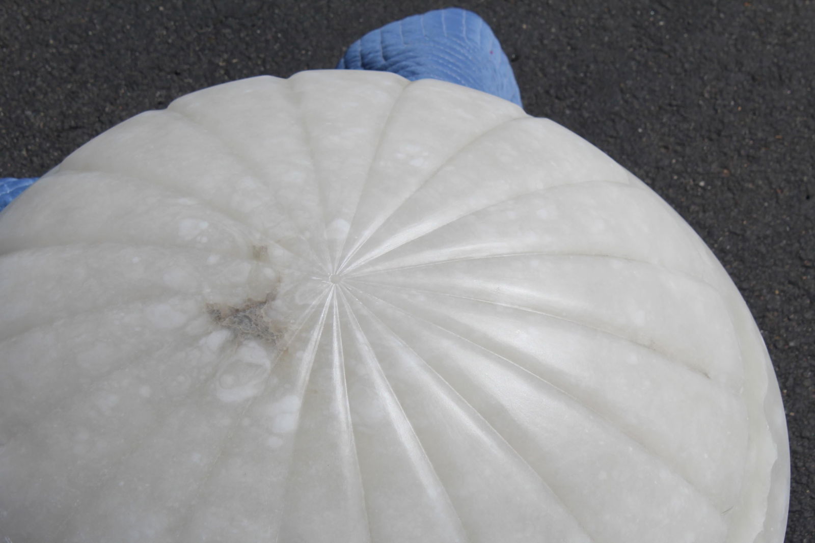 Deco/Modern Figurine Marble base - 9