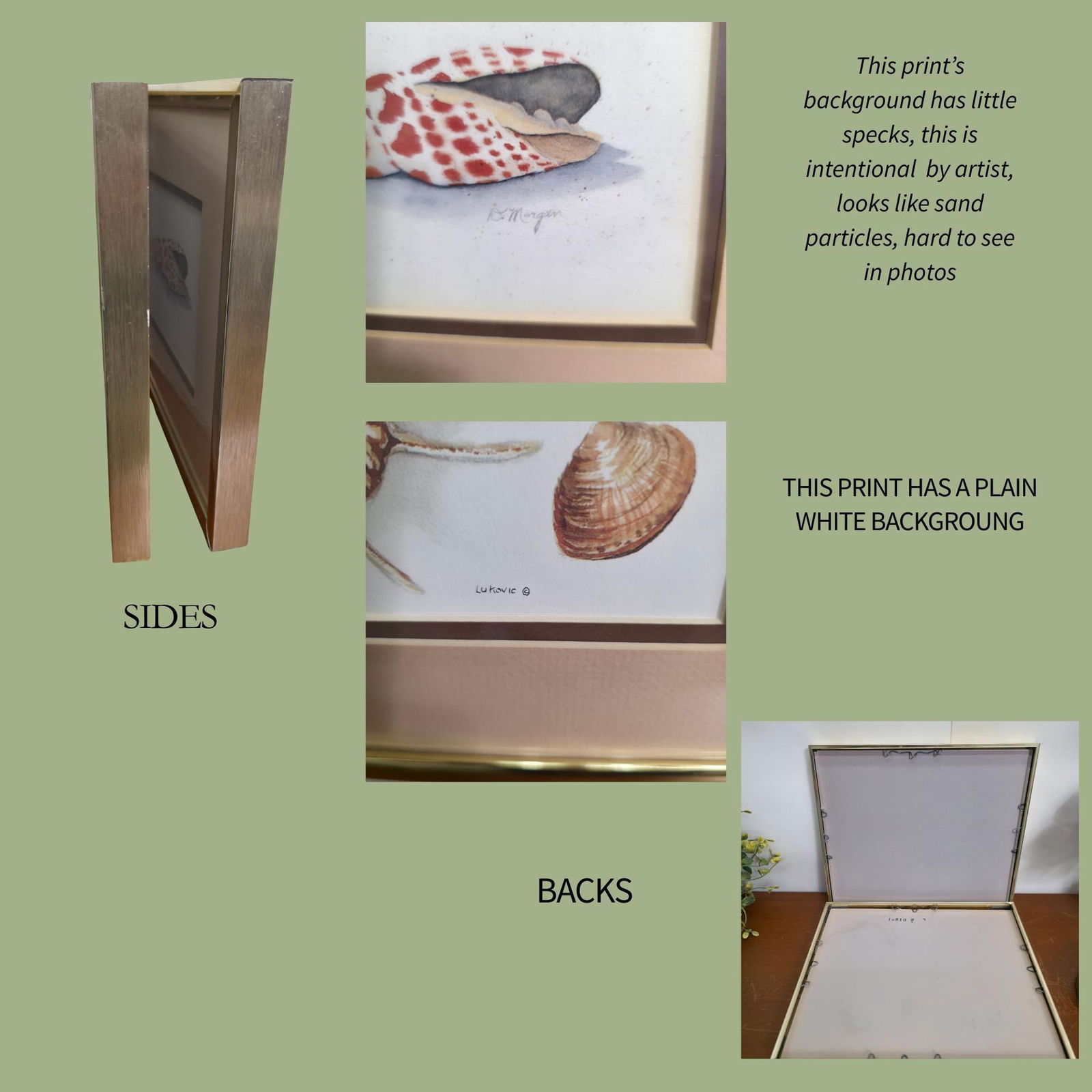 Vintage BOHO Home Decor Wall Picture Framed Set of 2 Coastal Grandmacore Shells Signed Art - 5