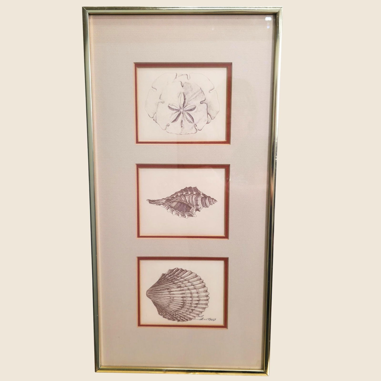 Vintage Coastal Shell Triptych Sand Dollar Conch Scallop Wall Art in Chrome Frame Natural History: Title: Vintage Coastal Shell Triptych Sand Dollar Conch Scallop Wall Art in Chrome Frame Natural History Style Beach Decor Signed 1970s-80s Description: Vintage coastal shell triptych featuring a