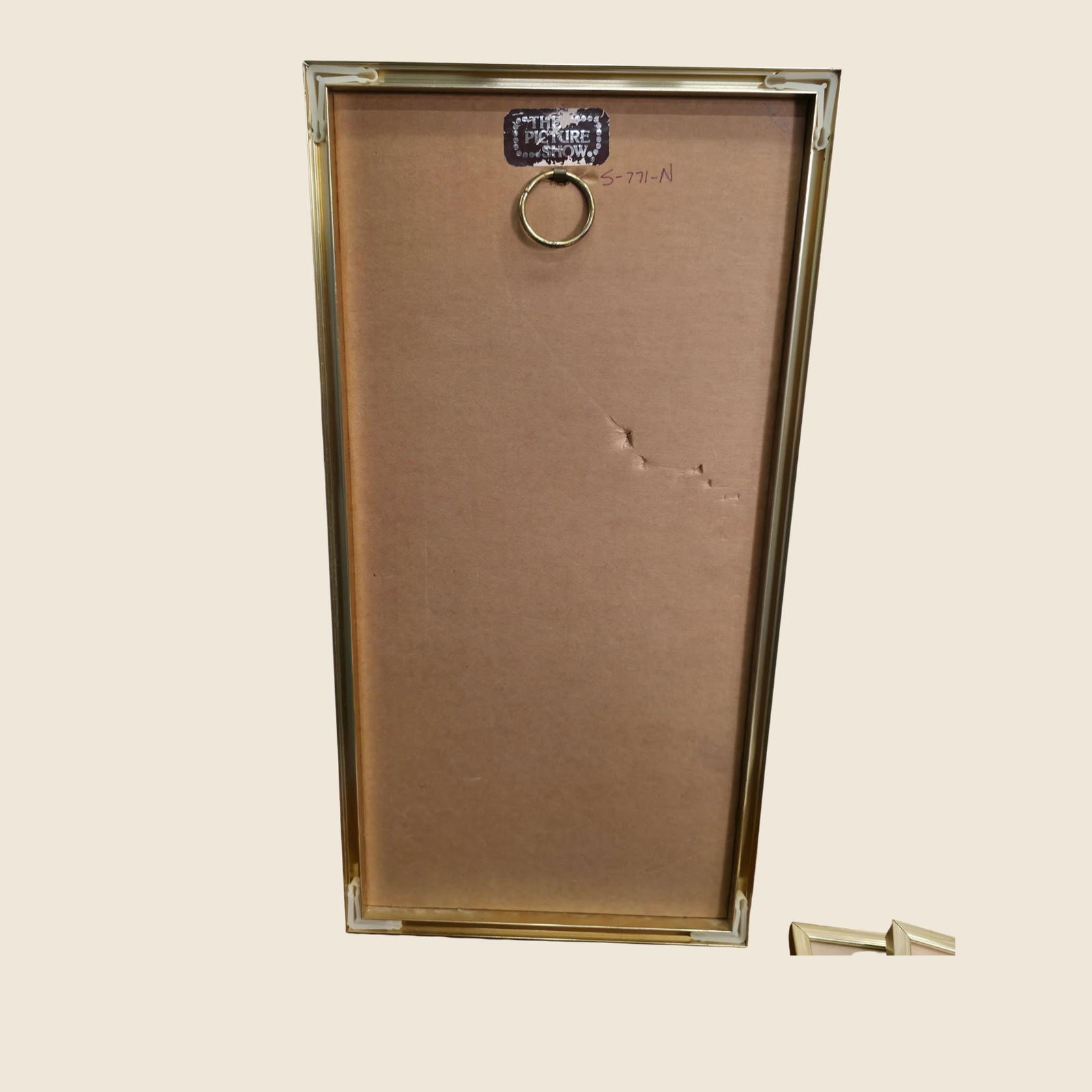 Vintage Coastal Shell Triptych Sand Dollar Conch Scallop Wall Art in Chrome Frame Natural History - 7