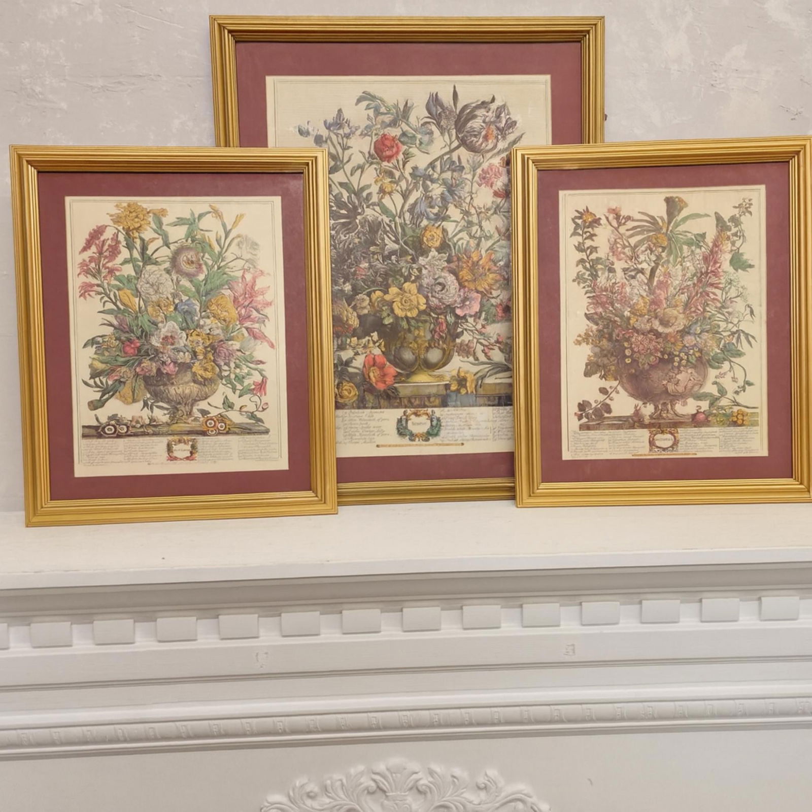 Vintage Floral Prints Robert Furber Framed Botanical Grandmacore Decor Gallery Grandmillennial (1 of 10)