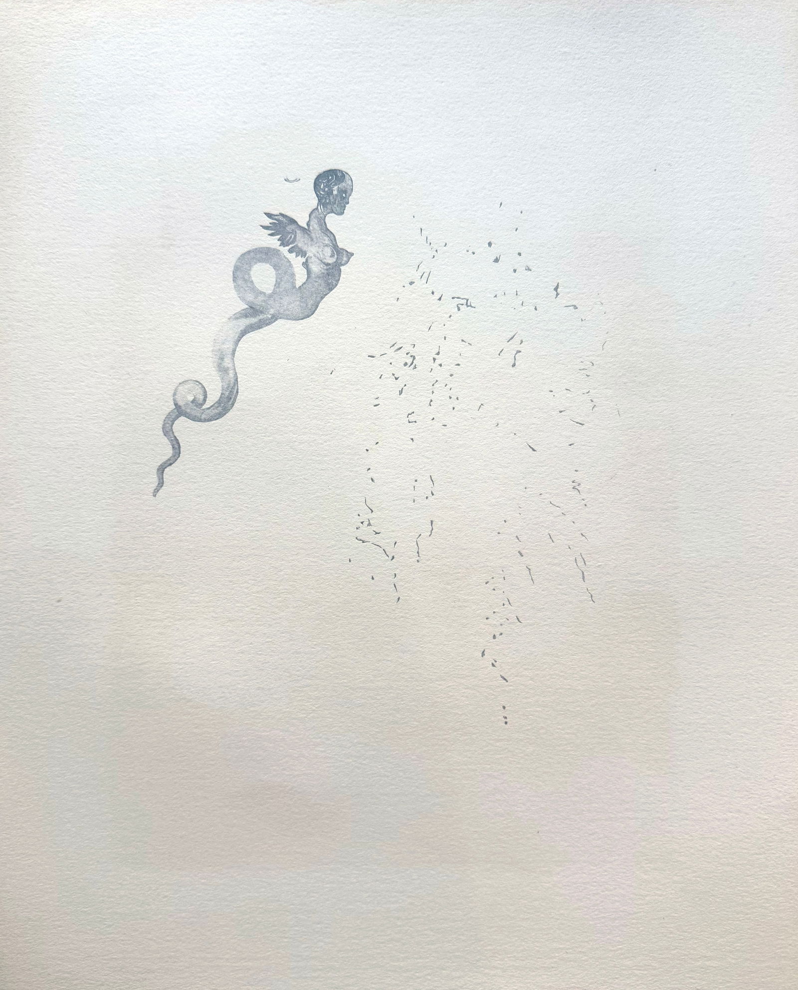 DALI "Canto 21 The Black Devil" - 7