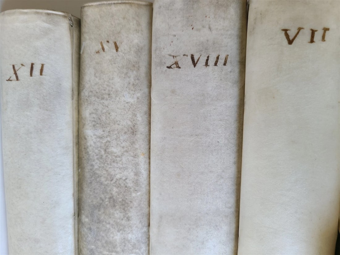 1752-1759 NETHERLANDS HISTORY 21 volumes antique ILLUSTRATED w/MAPS VELLUM BOUND - 2