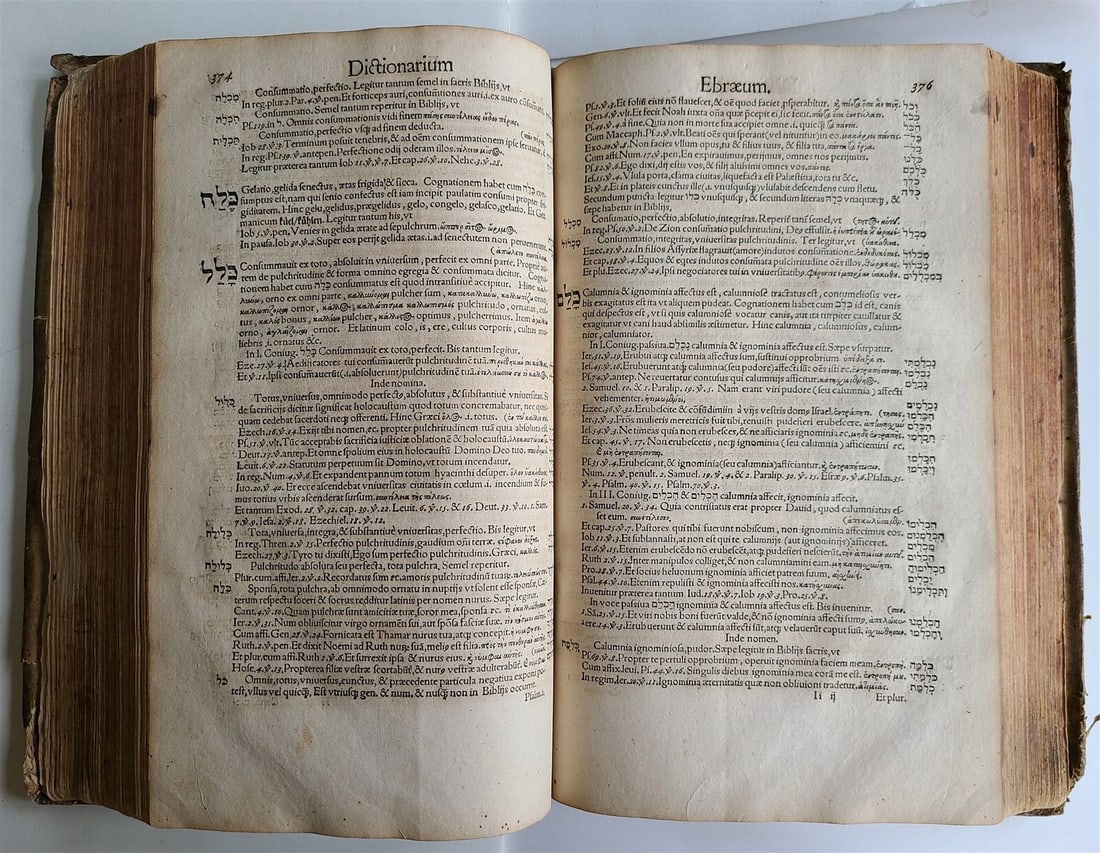 1588 HEBREW LEXICON antique Liber Radicum seu Lexicon Ebraicum 16c PIGSKIN FOLIO - 11