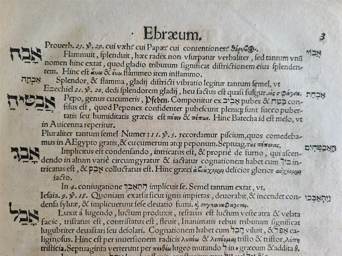 1588 HEBREW LEXICON antique Liber Radicum seu Lexicon Ebraicum 16c PIGSKIN FOLIO - 7