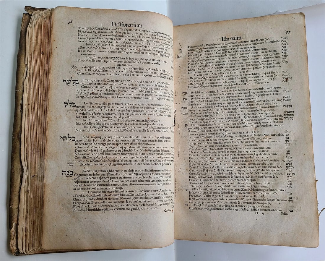 1588 HEBREW LEXICON antique Liber Radicum seu Lexicon Ebraicum 16c PIGSKIN FOLIO - 8