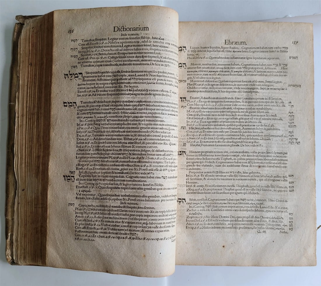 1588 HEBREW LEXICON antique Liber Radicum seu Lexicon Ebraicum 16c PIGSKIN FOLIO - 9