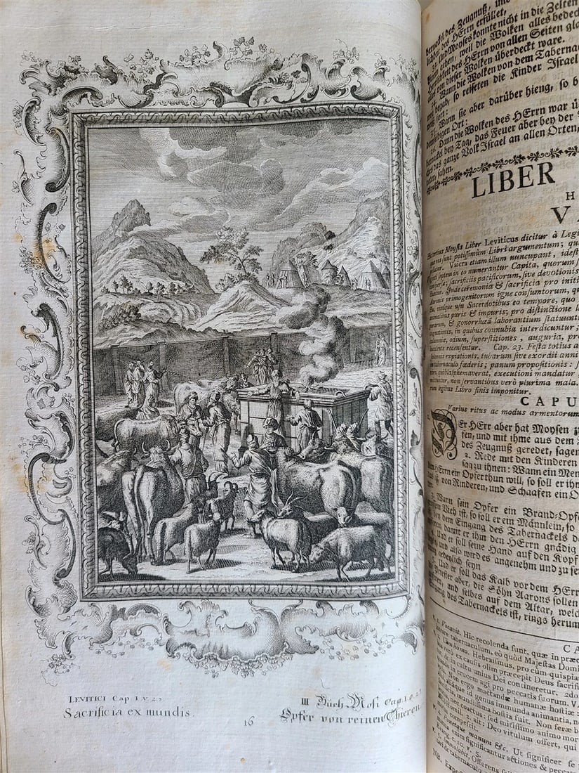 1770 BIBLE in GERMAN & LATIN ILLUSTRATED 2 FOLIO VOLUMES antique PIGSKIN BINDING - 11