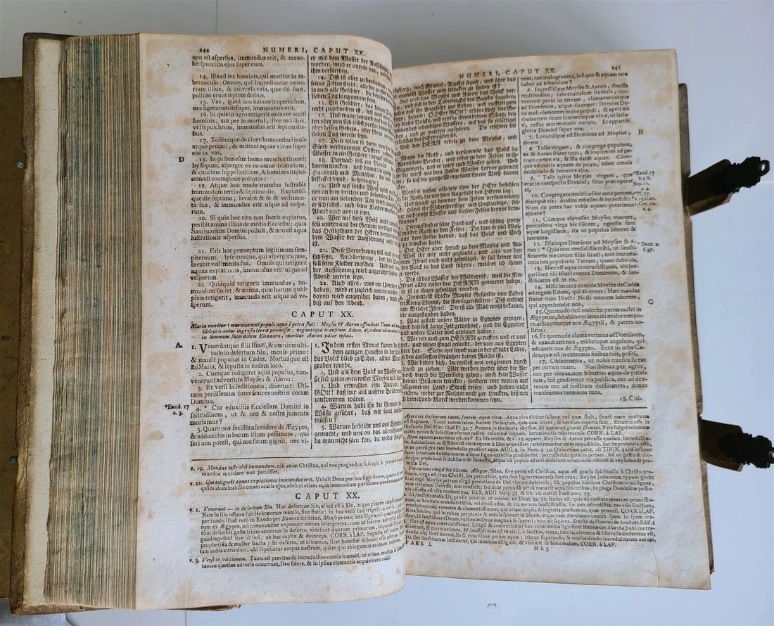 1770 BIBLE in GERMAN & LATIN ILLUSTRATED 2 FOLIO VOLUMES antique PIGSKIN BINDING - 4