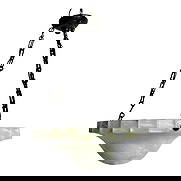 Mid-Century Modern Alabaster Chandelier: Mid-century /Deco looking Alabaster chandelier. Scalloped edge and slight Dome bottom. Supported with 3 chains and an Alabaster Ceiling cap now . Beautiful when lit up. At 22" diameter. This will