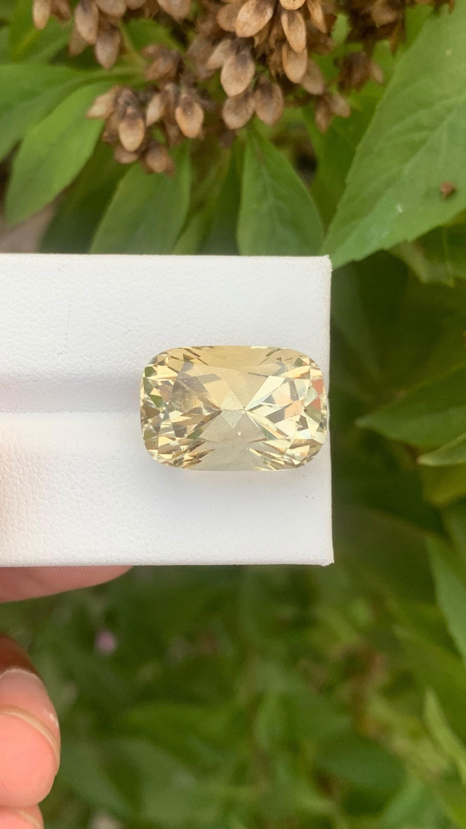 Lemon Yellow Heliodor Gemstone: 16.70 Carat Cushion Cut Beryl: Title: Lemon Yellow Heliodor Gemstone: 16.70 Carat Cushion Cut Beryl Description: Item details Highlights Handpicked by GemsAndJewelsUSA Supplies for making crafts Gemstone: Heliodor Carat weight: 16.