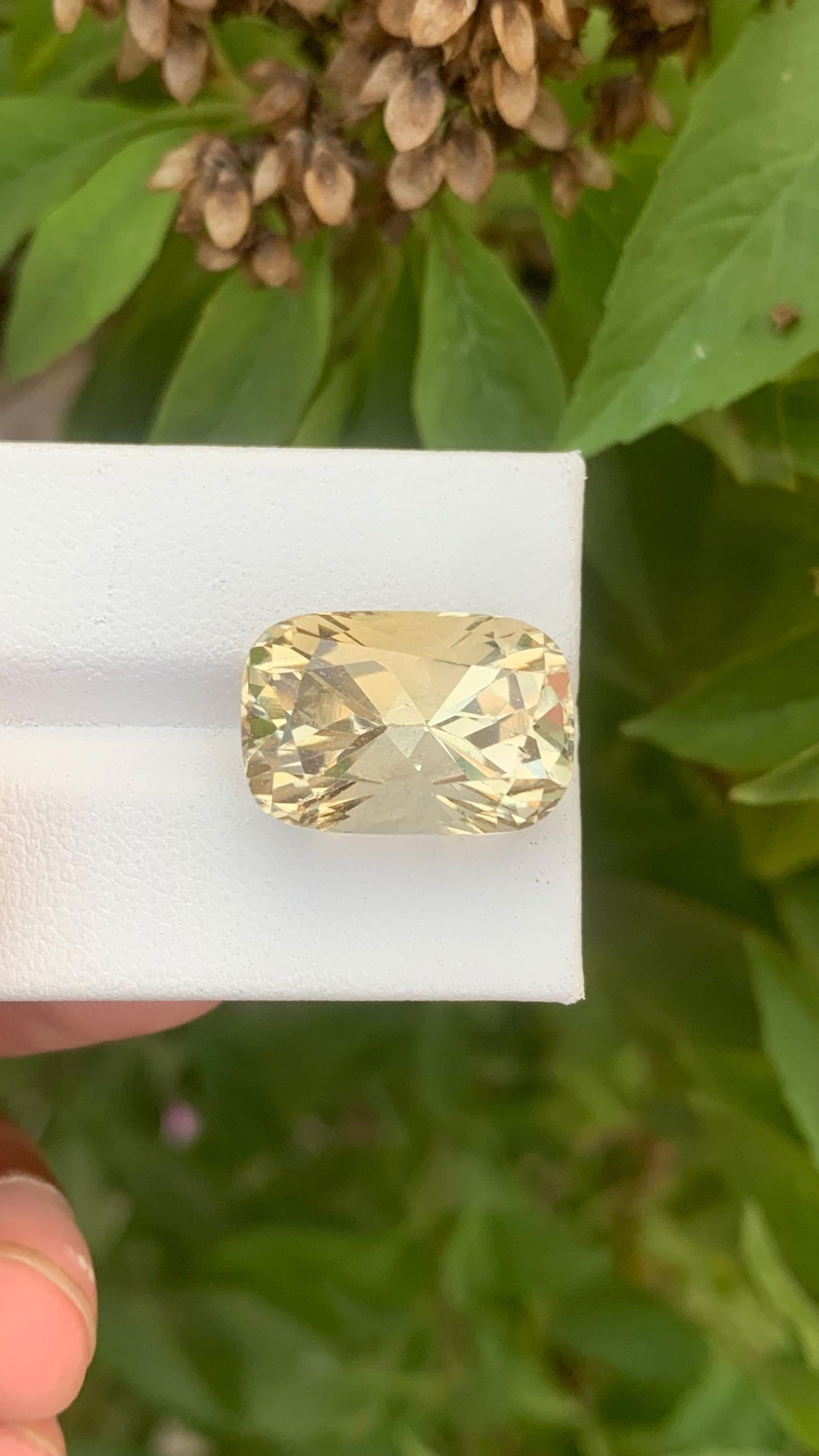 Lemon Yellow Heliodor Gemstone: 16.70 Carat Cushion Cut Beryl - 2