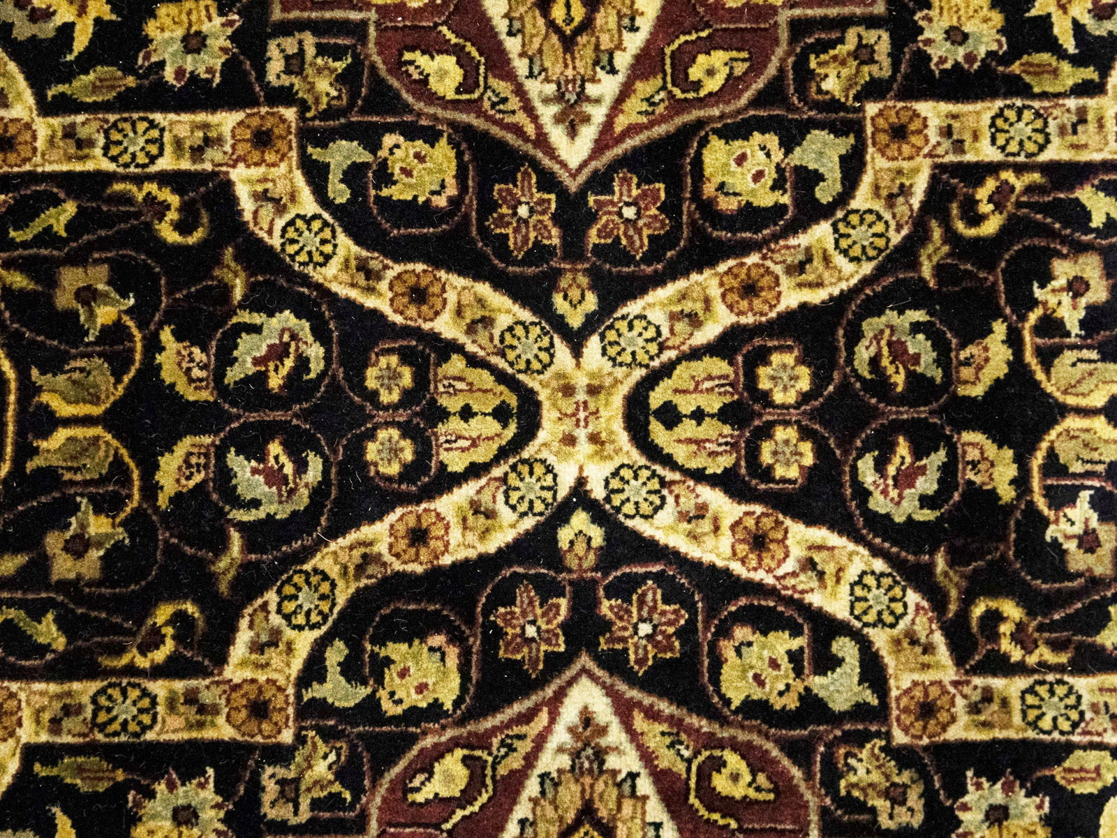 Black Floral Classic 8'7X11'9 Agra Jaipur Oriental Rug - 7