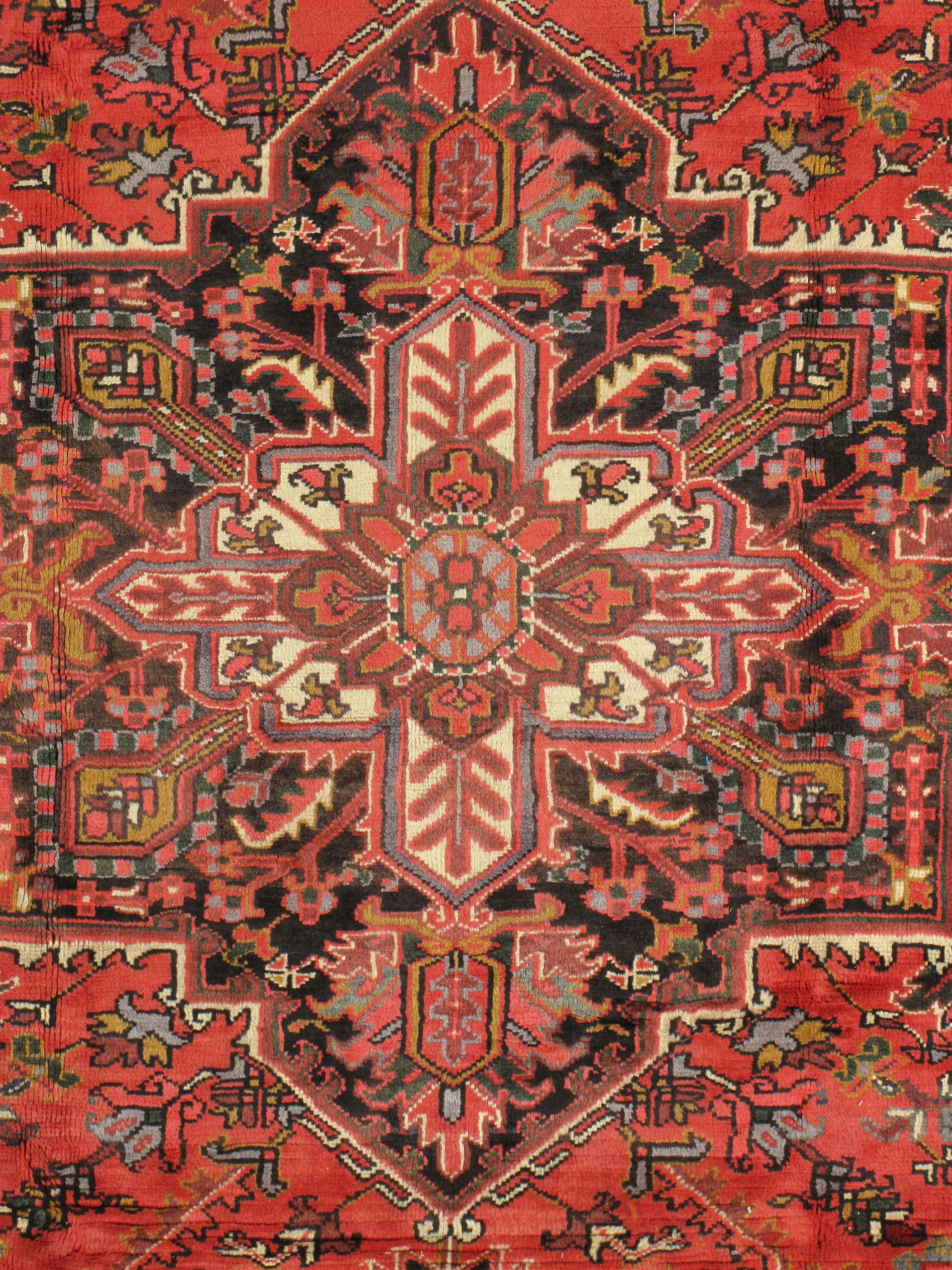 Heriz 176 8.4x11.5 - 2