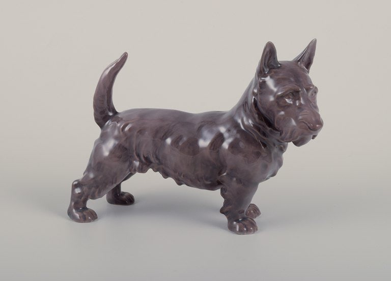 Bing & Grøndahl, porcelain figurine of a Scottish Terrier.: Title: Bing & Grøndahl, porcelain figurine of a Scottish Terrier. Description: Bing & Grøndahl, porcelain figurine of a Scottish Terrier. Model number 2117. Approximately from the 1930s.