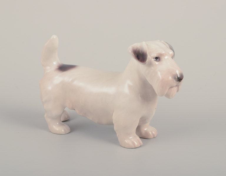 Bing & Grøndahl, small porcelain figurine of a Sealyham Terrier.: Title: Bing & Grøndahl, small porcelain figurine of a Sealyham Terrier. Description: Bing & Grøndahl, small porcelain figurine of a Sealyham Terrier. Model number 2071. Approximately from