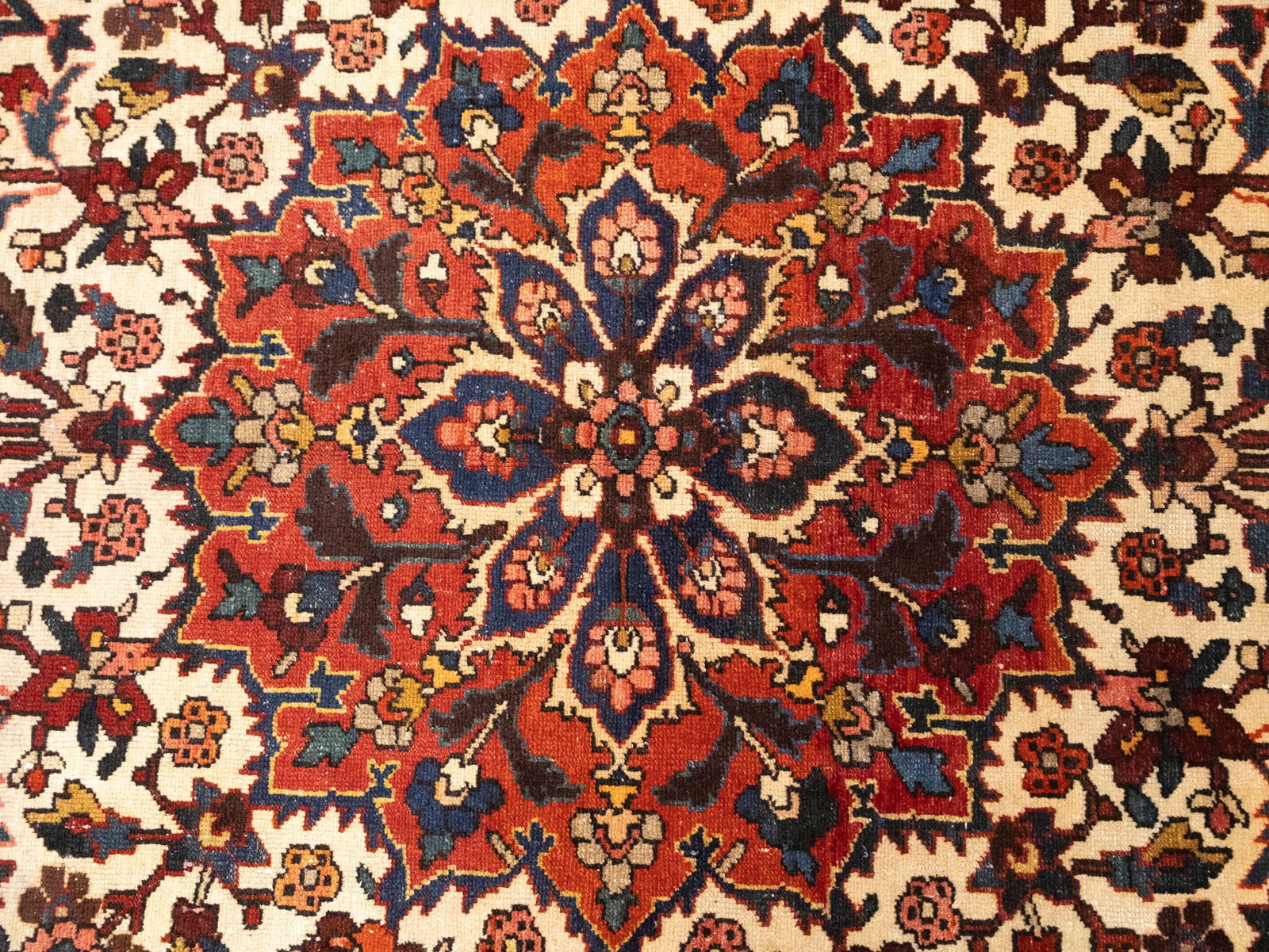 Vintage Red Floral 10X15 Bakhtiari Persian Rug - 7