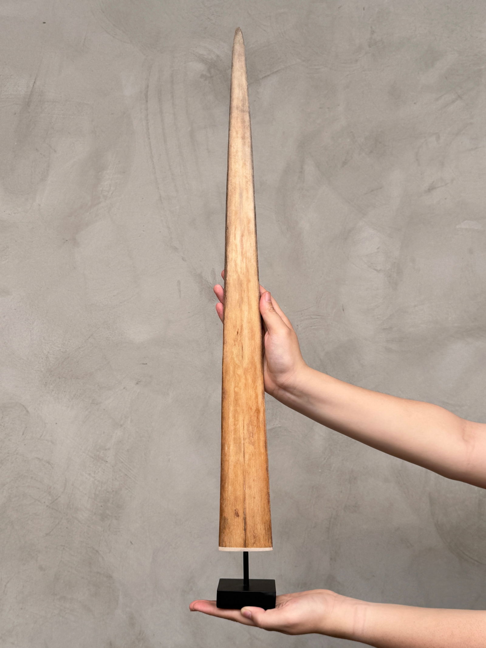 Swordfish tusk with stand: Title: Swordfish tusk with stand Maker:Unknown Origin: Indonesia Date/Period:2025 Materials:Xiphius Gladius, Bone, Steel Dimensions:Height including stand: 73 cm / 28.7 inches Description:This strikin