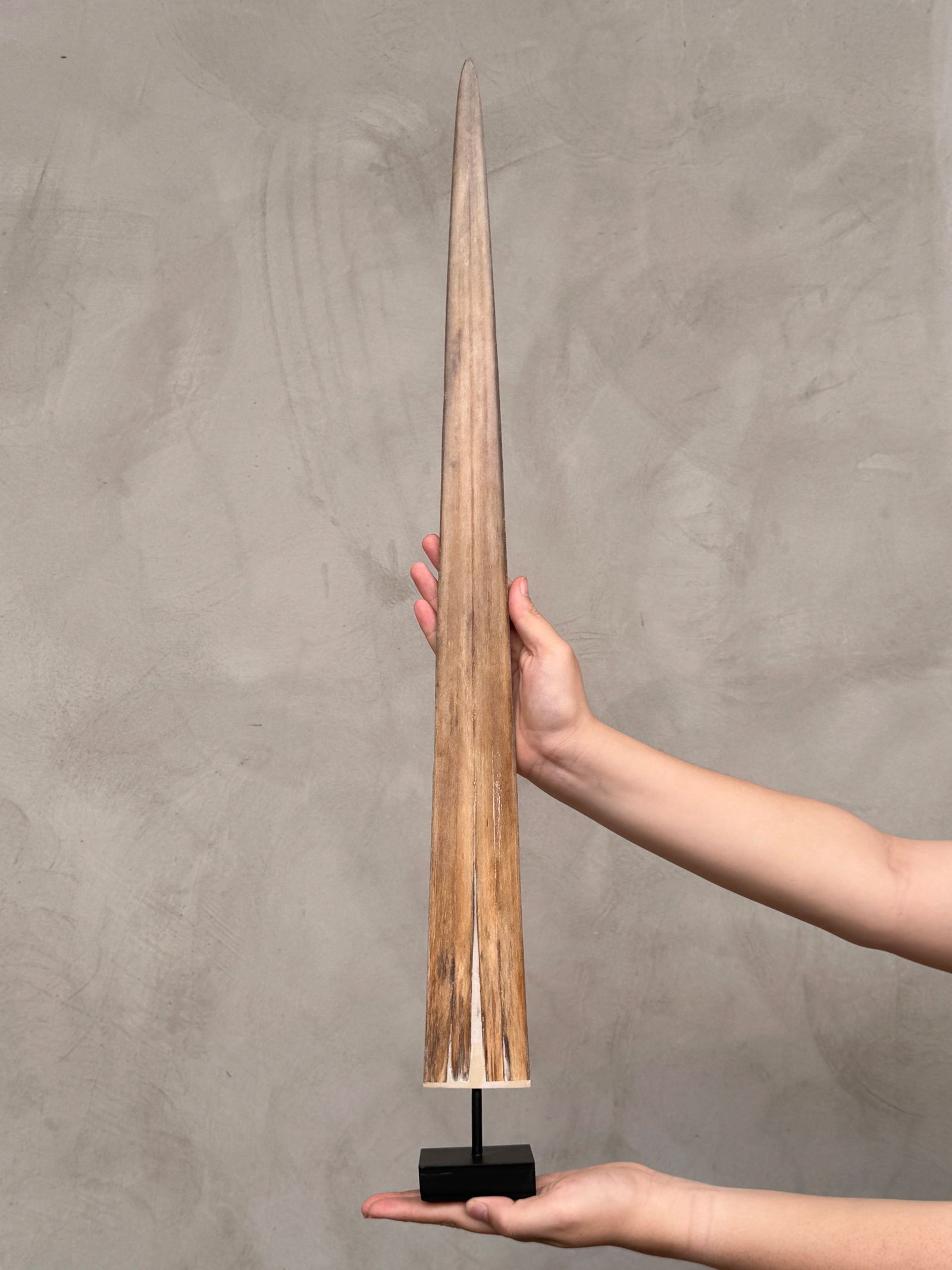 Swordfish tusk with stand - 2