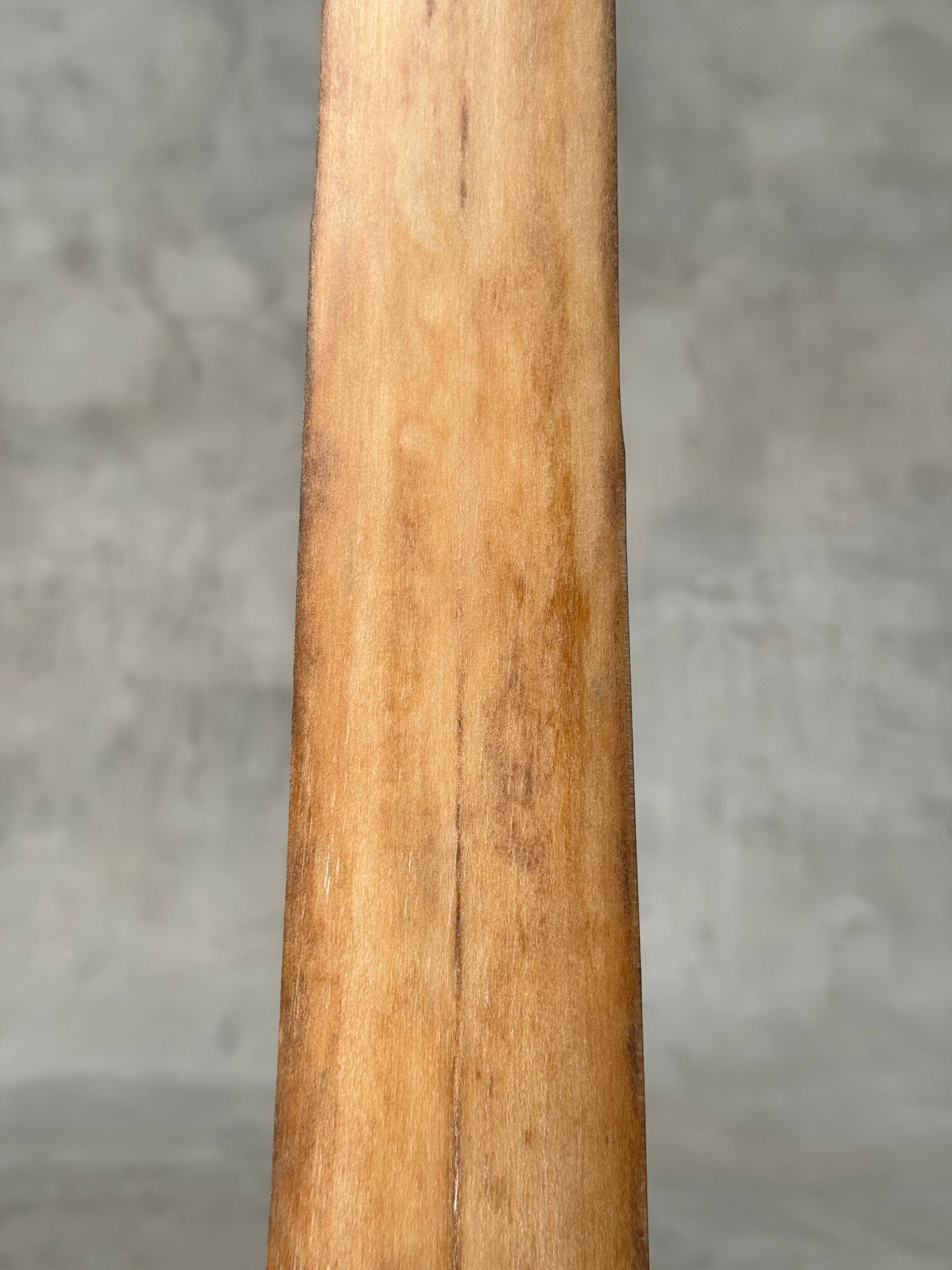 Swordfish tusk with stand - 5