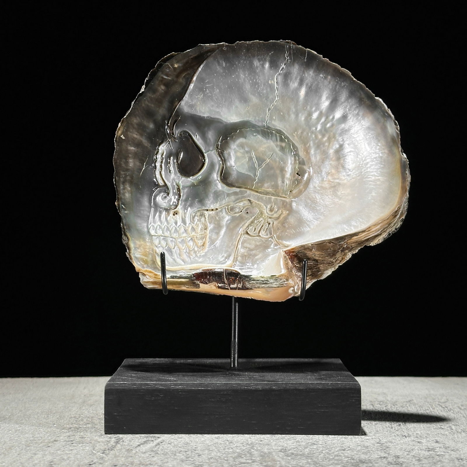 Engraved mother of pearl shell - Human skull motif (1 of 10)