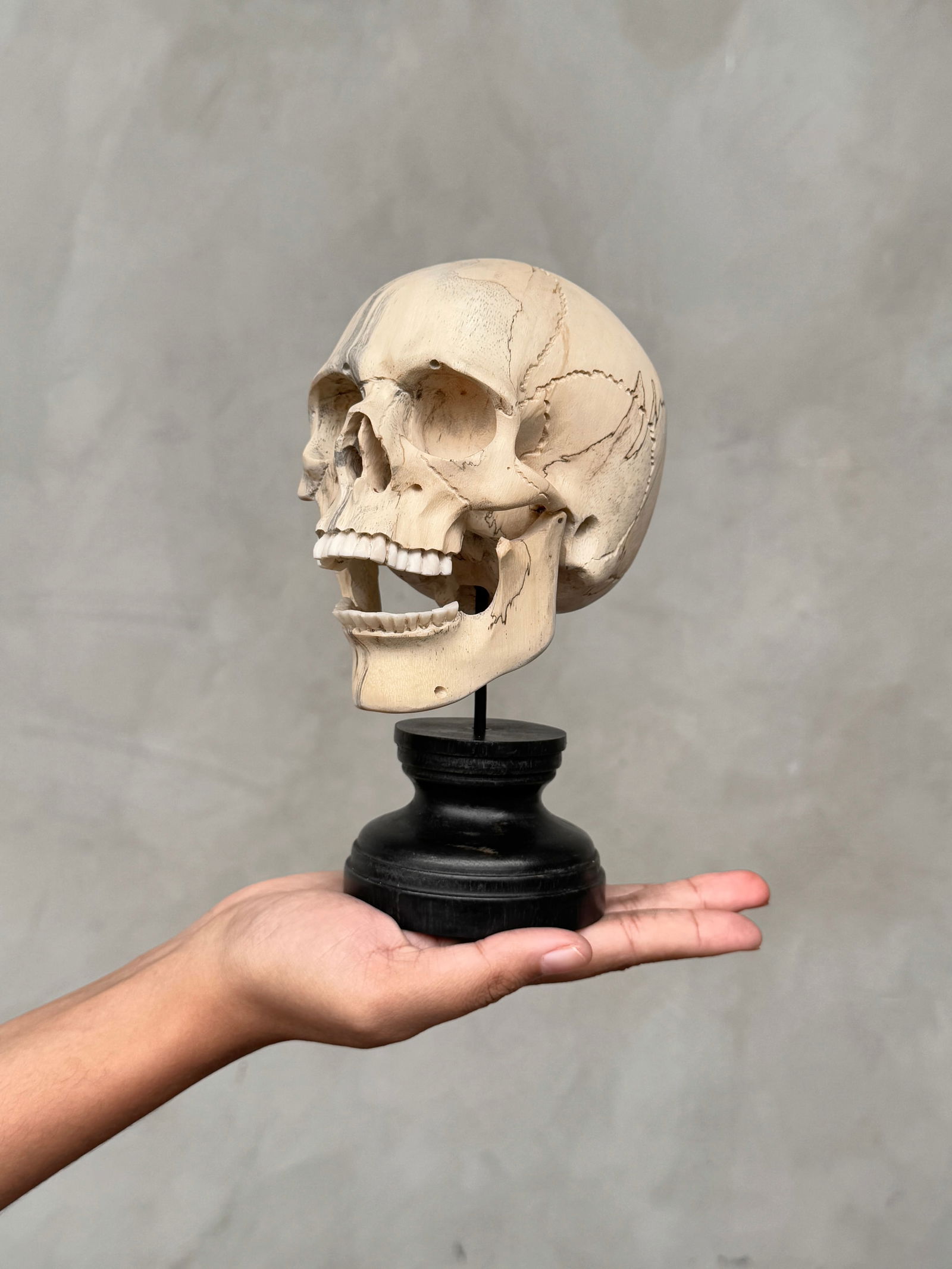 Wonderful human skull with a beautiful grain on a custom stand (1 of 10)