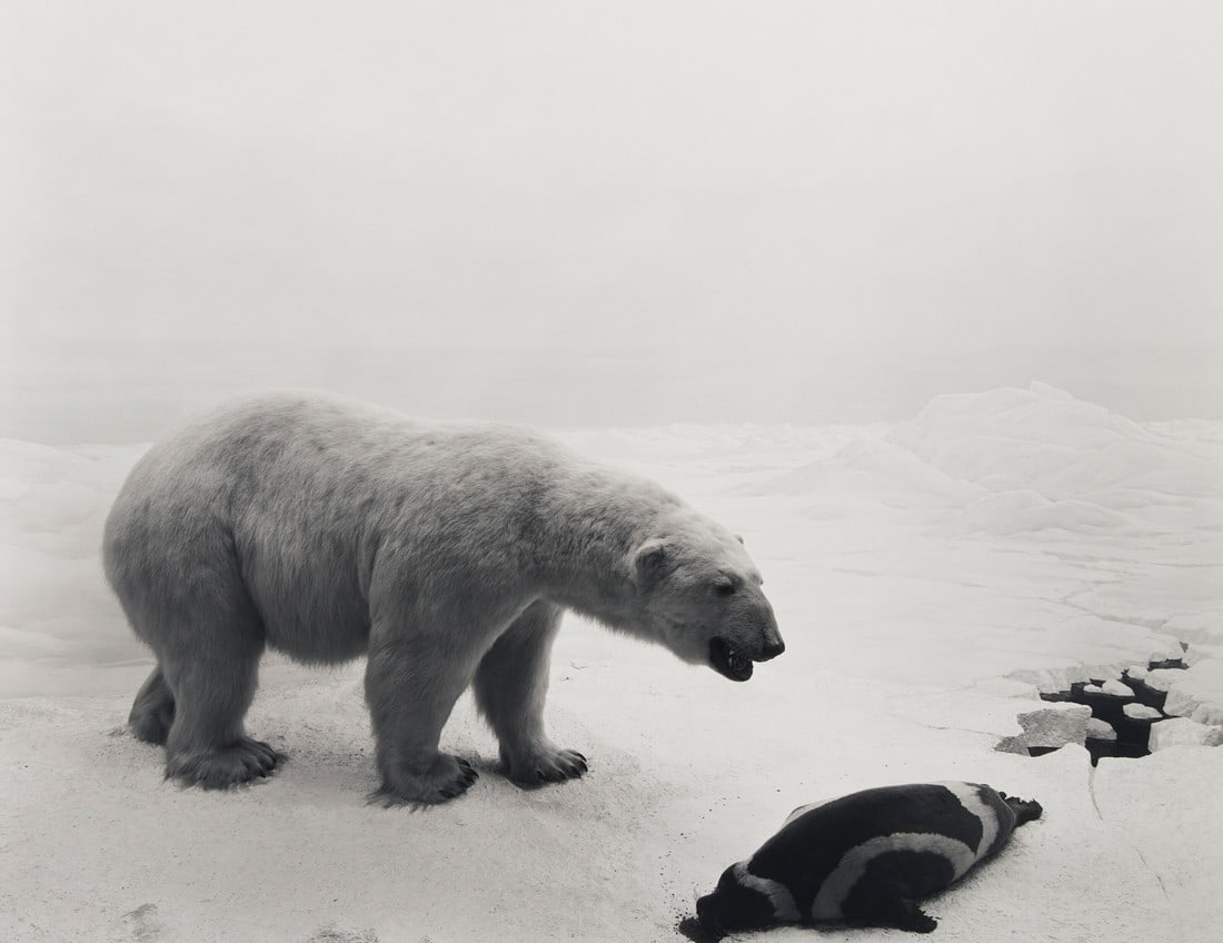 Hiroshi Sugimoto Untitled Print: Title: Hiroshi Sugimoto Untitled Print Description: Hiroshi Sugimoto Untitled Print mounted to board measuring at 16.5x21.5 inches Dimensions: 16.5x21.5" Reserve: $60.00 Shipping:Domestic: