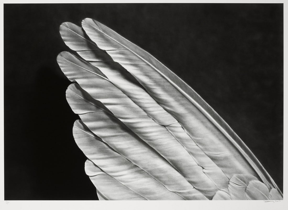 Robert Longo Untitled Print: Title: Robert Longo Untitled Print Description: Robert Longo Untitled Print measuring at 22x30 inches Dimensions: 22X30" Reserve: $60.00 Shipping:Domestic: Flat-rate of $35.00 to anywhere within