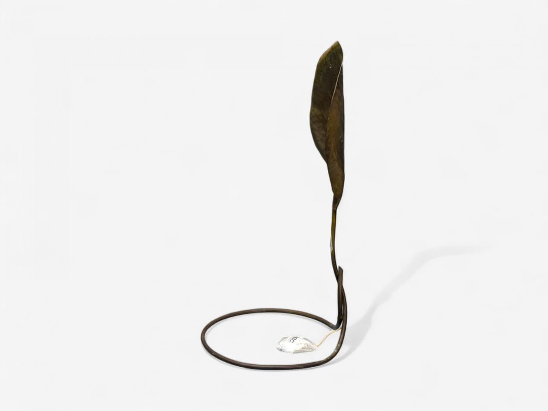 Tomasso Barbi, Patinated Brass, Ginko Leaf Floor Lamp, Italy, 1970s - 7