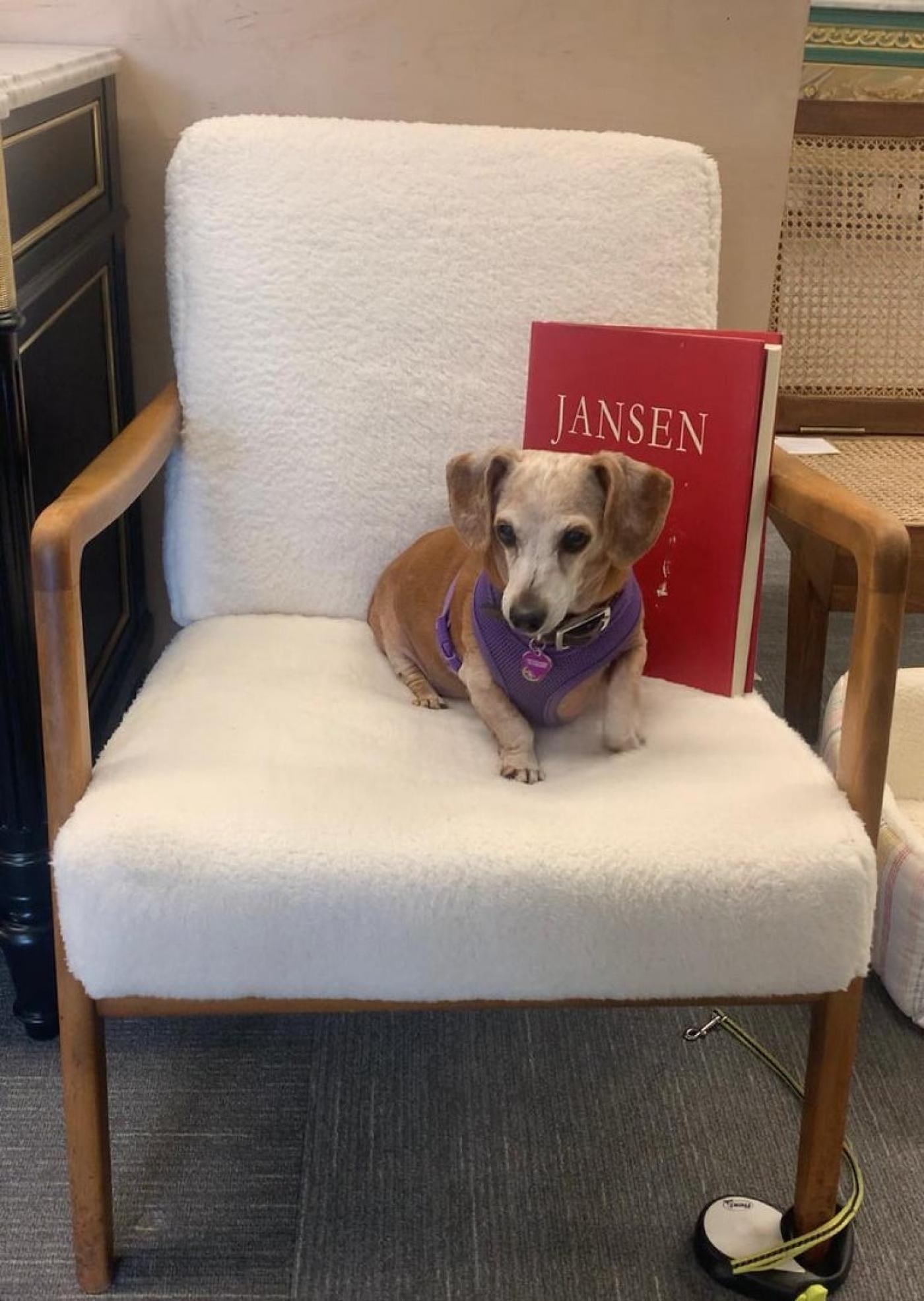 France and Daverkosen Teak Armchairs, Mid-Century Modern in Sherpa Style Fabric - 6