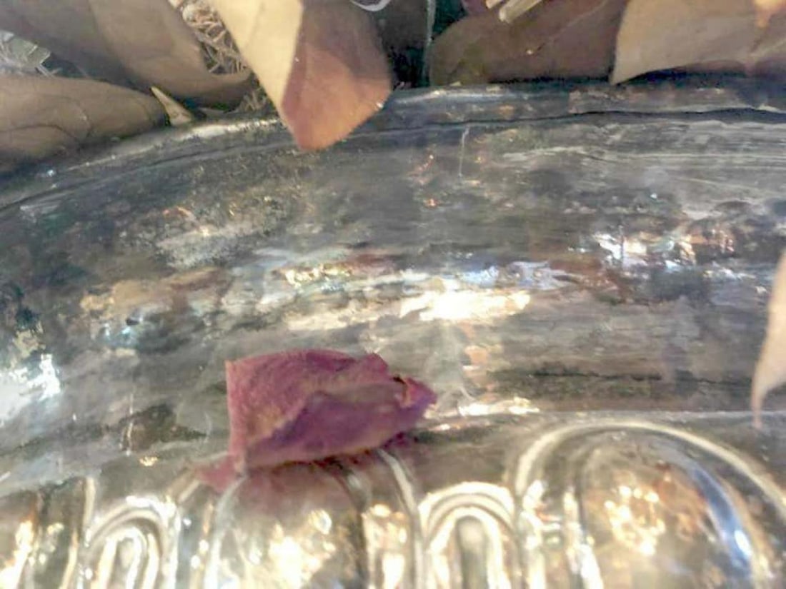 Palatial Silver Plated Claw Footed Centrepiece in Custom Form Antique Bowl - 4