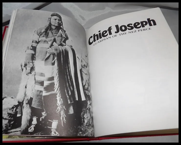 American Indian Warrior Chiefs - Tecumseh, Crazy Horse, Chief Joseph, Geronimo – Jason Hook - 14