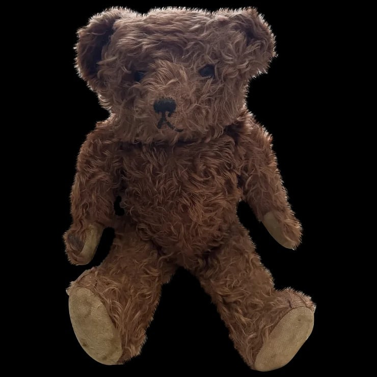 Pintel French Teddy bear Paris 1930s Rare color (1 of 12)
