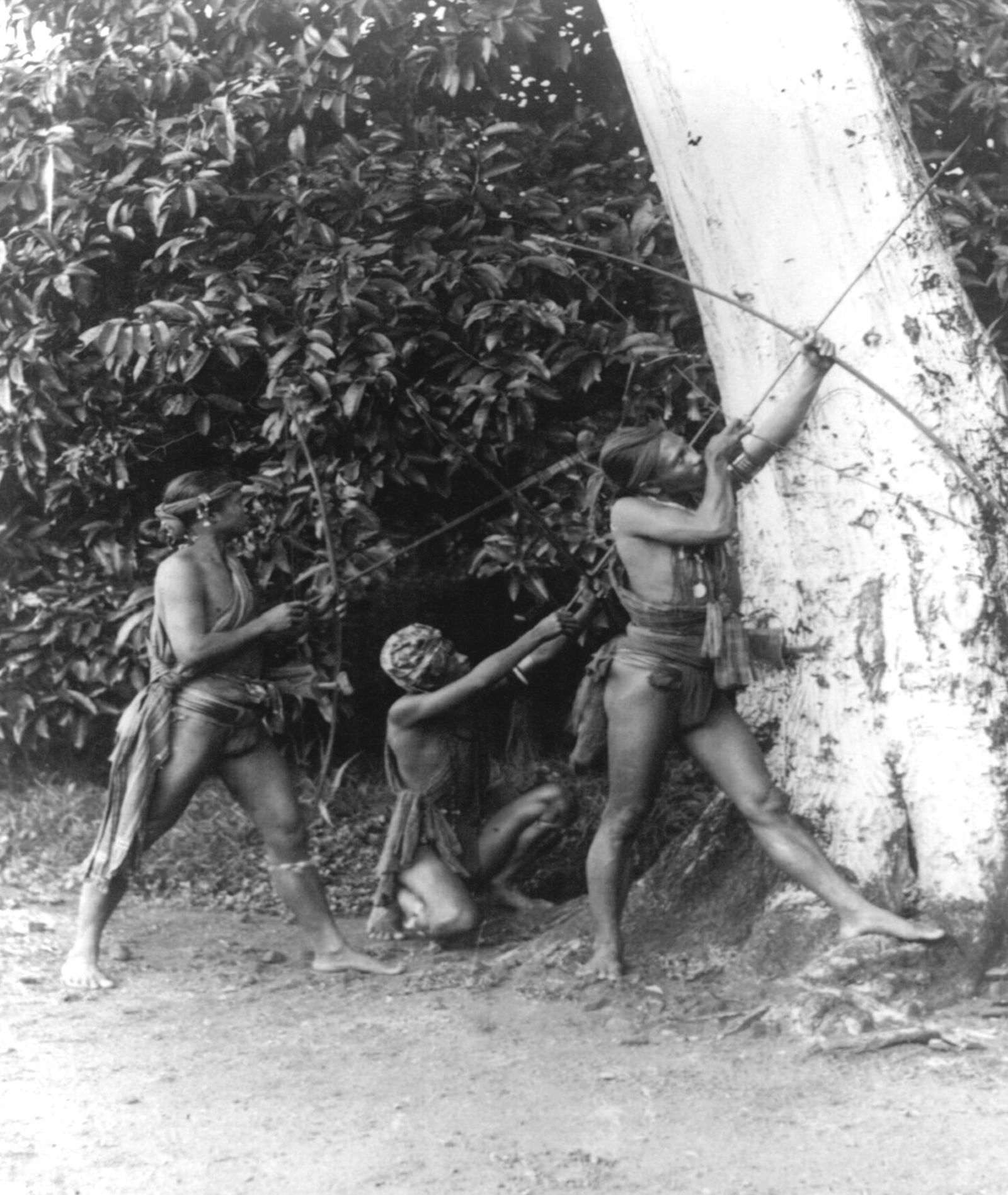 1890 Philippines, Tinquianes of Abra aiming their arrows (1 of 1)