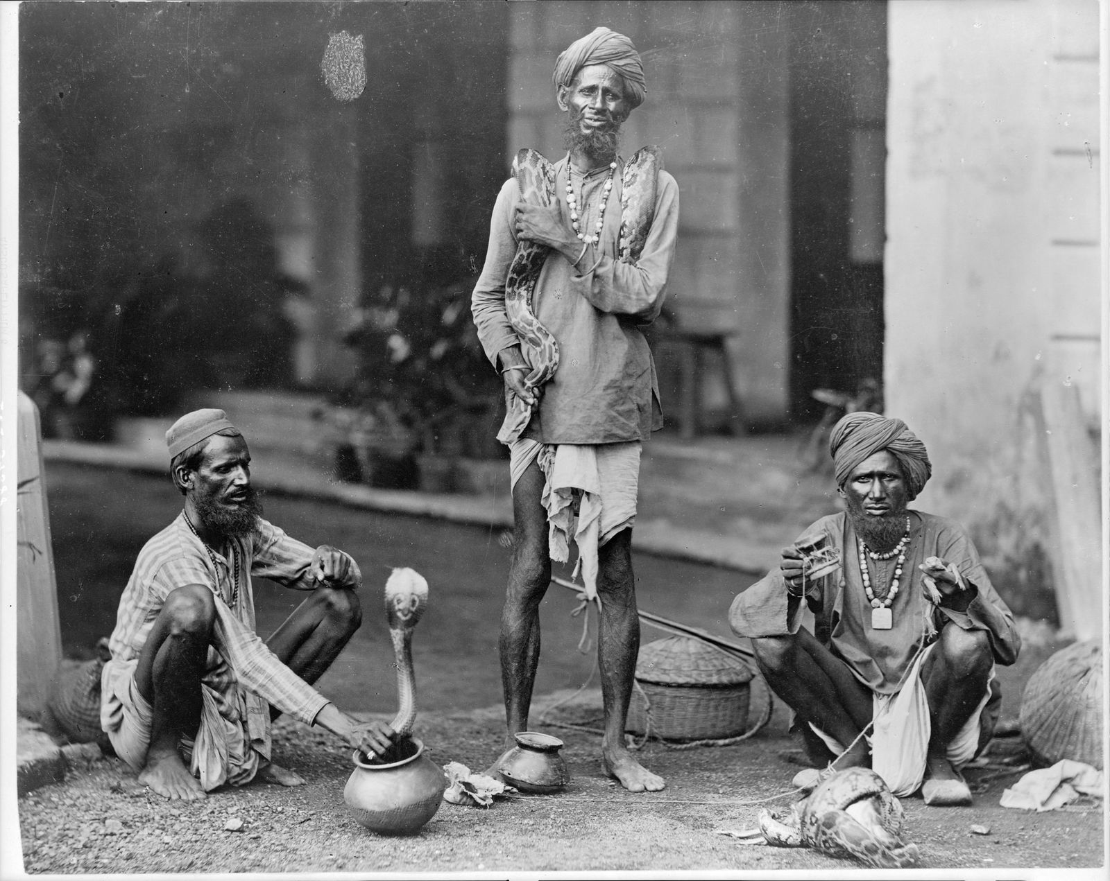 1890 INDIA, SNAKE CHARMERS (1 of 1)