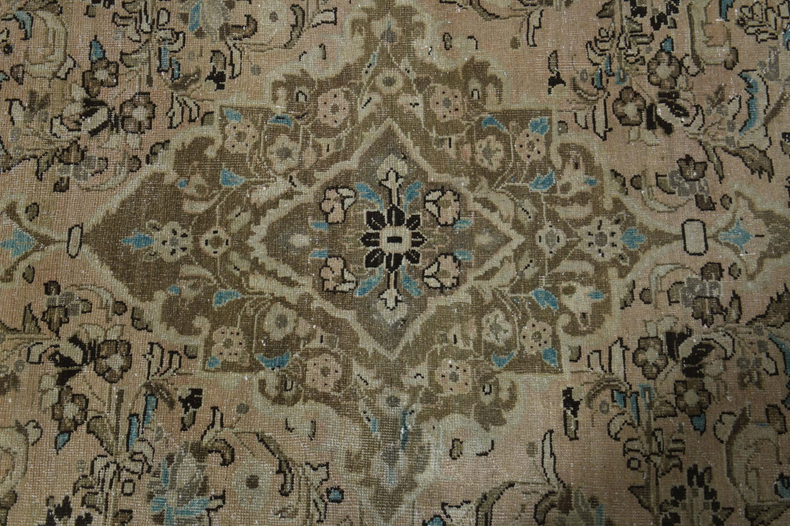 9.2x12.7 ft, PERSIAN MINIMALIST RUG - 4