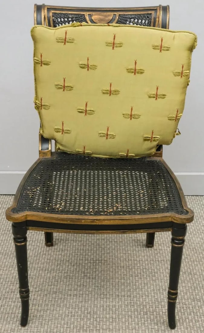 Antique English Regency Style Caned Side Chair With Dragon Fly Fabric Cushion - 5
