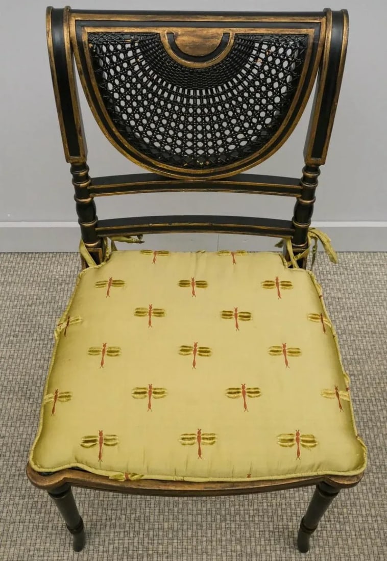 Antique English Regency Style Caned Side Chair With Dragon Fly Fabric Cushion - 7
