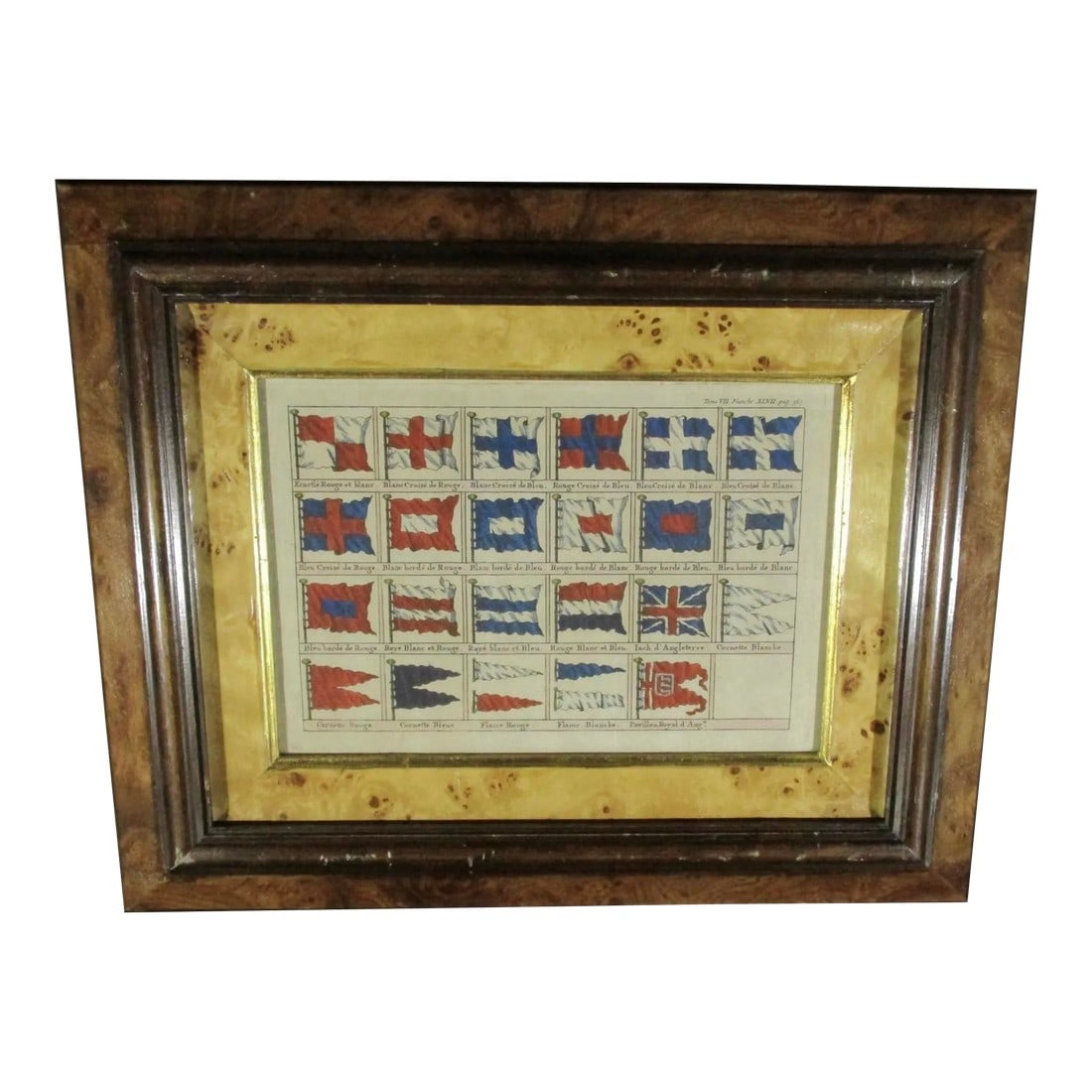 18th Century Hand-Colored Engraving of Color Banners: Page of hand-colored charts of banner patterns and variations. One page framed and matted under glass. The frame is fine brown olive wood and the mat is constructed in birds'eye maple. The framing is