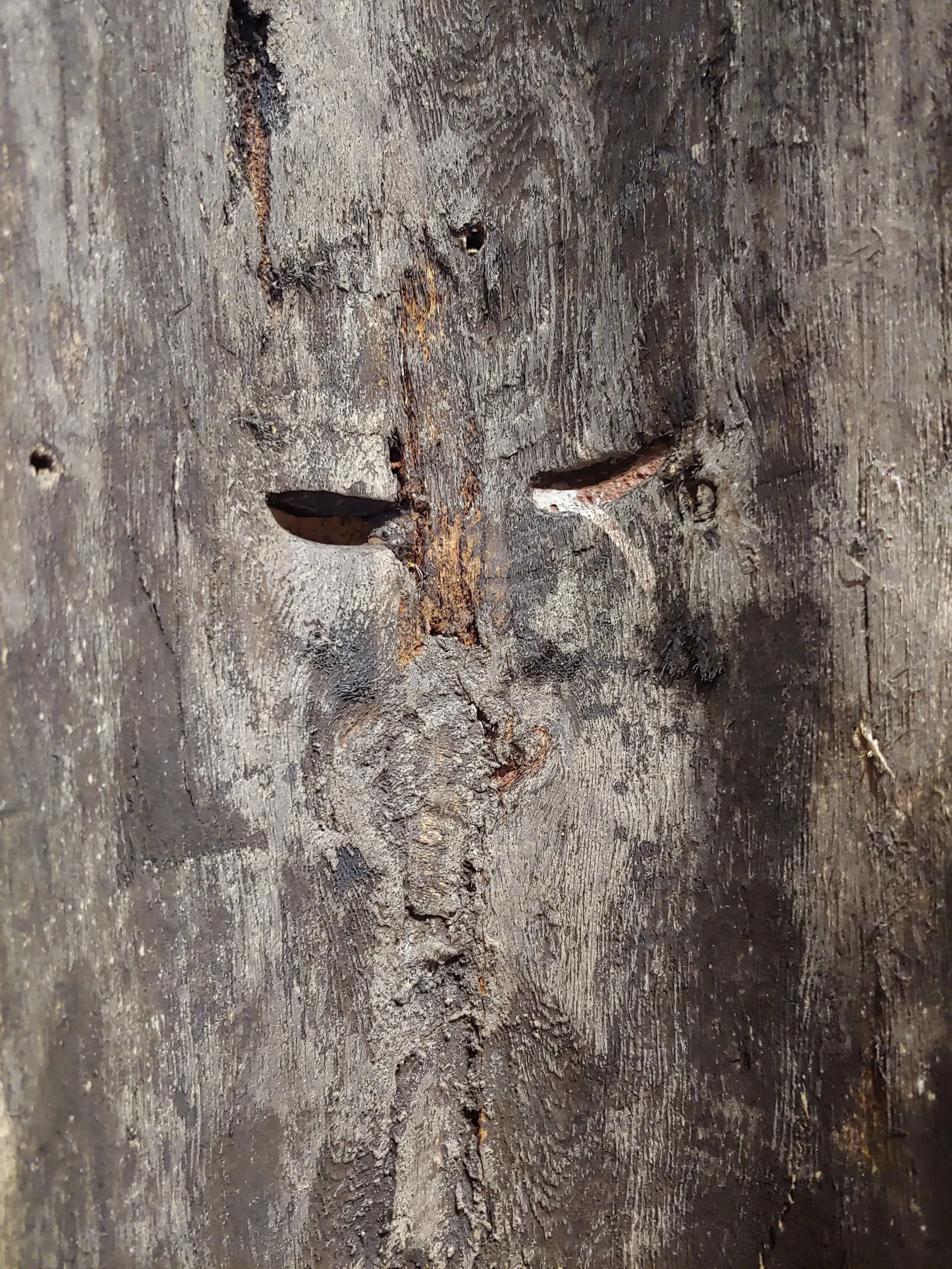 Antique Wood Carved Painted Mexican Mask - 8