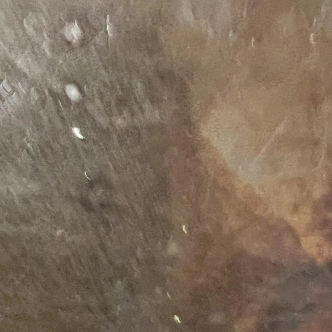 1960s Modernist Silverplated Serving Dish Fisher - 6