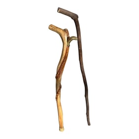 Pair of 1970s Wood Walking Sticks