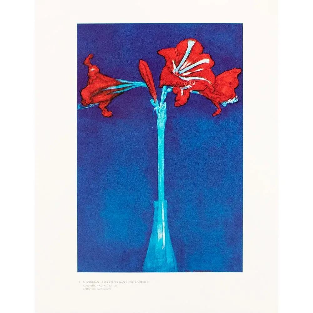 1991 After Piet Mondrian "Amaryllis in a Bottle", Full-Color Parisian Print - 2