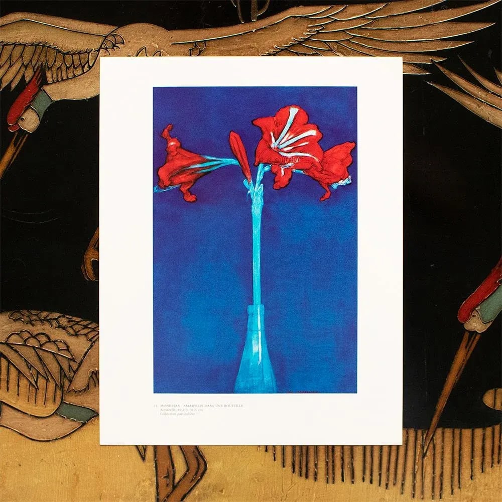1991 After Piet Mondrian "Amaryllis in a Bottle", Full-Color Parisian Print - 3